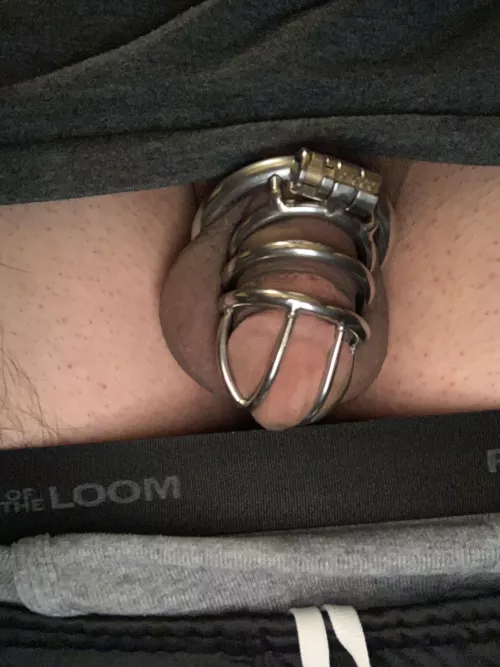 New to caging, my gf loves to tease me when I’m locked up because I’m learning a new side of myself