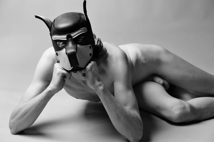 Puppy in deep thought 😊