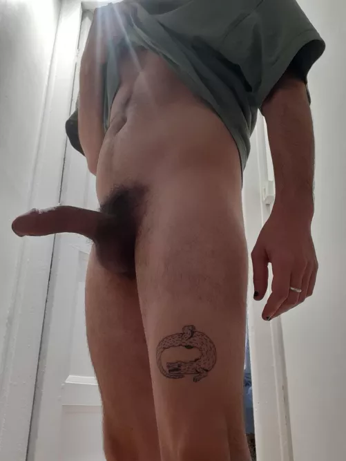 Showing off the newest one 