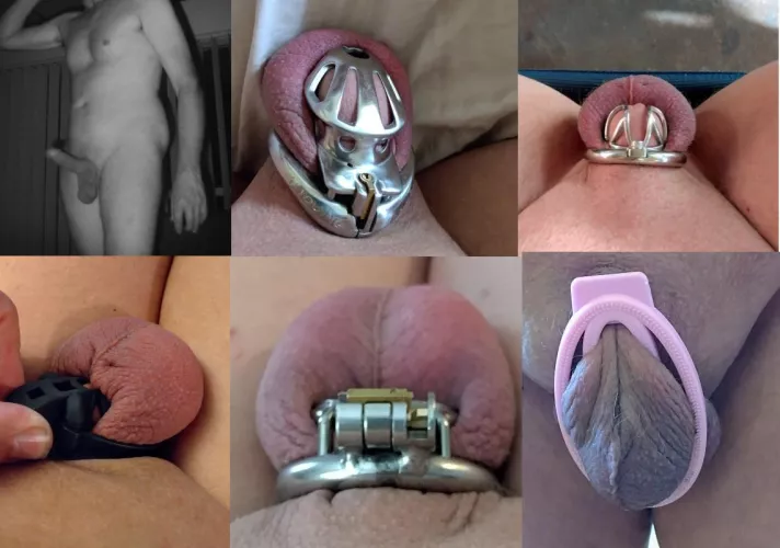 This is what chastity cages have done to me, I was so proud of my manhood now I just make it go away completely. 