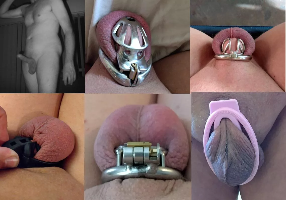 This is what chastity cages have done to me, I was so proud of my manhood now I just make it go away completely. 