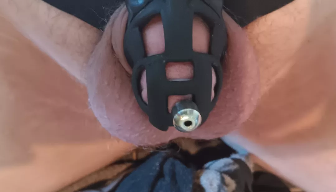 Urethra tube in for first time it feels so good in my cage