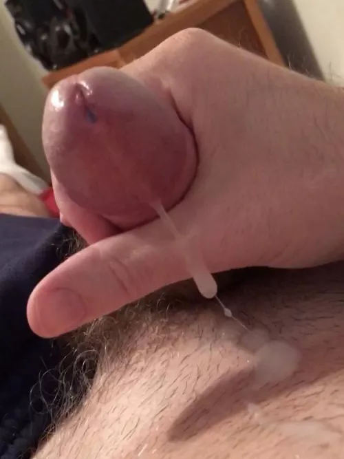 Would you let a stranger from Reddit creampie you?