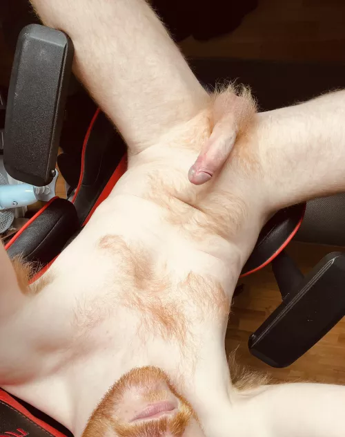 Would you let me be your ginger daddy?