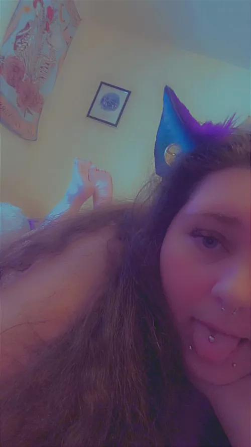 Would you pet me? 😻