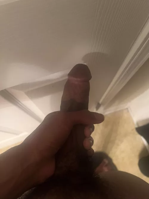 18 HARD ASFF RN SC: zanehez