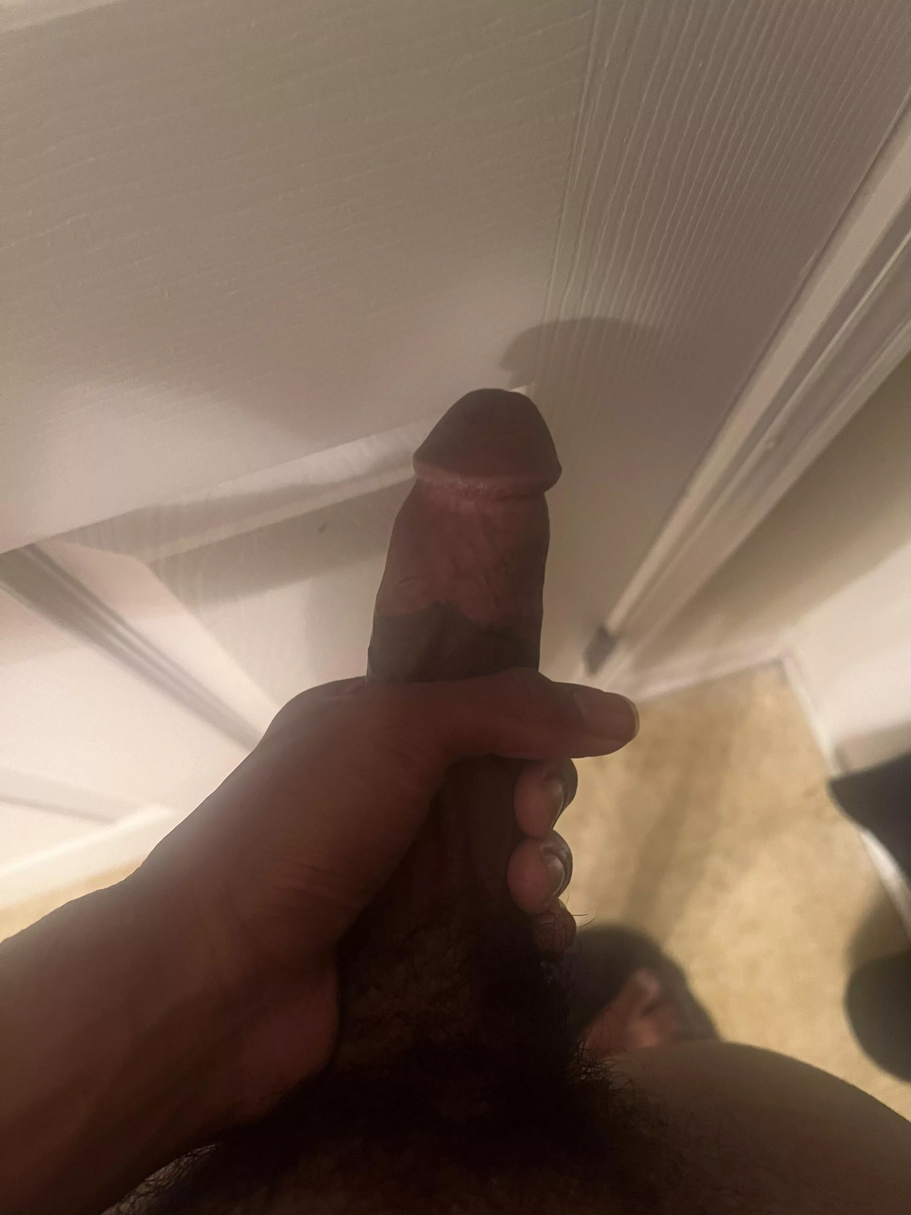 18 HARD ASFF RN SC: zanehez