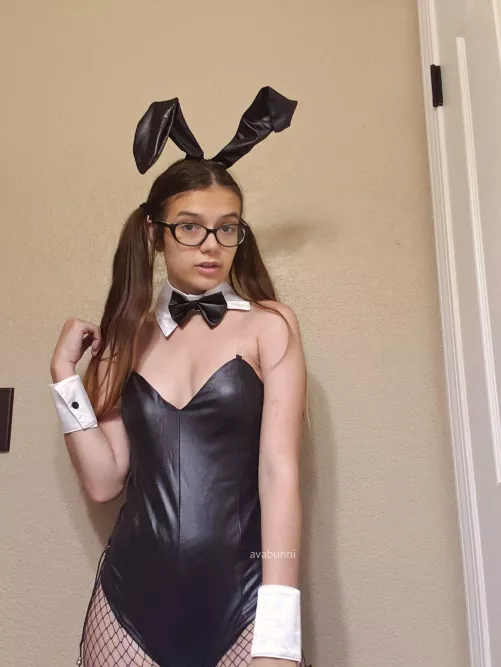 A young bunny wants your attention