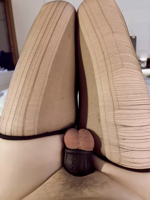 Broken nylon and no dick for Italian sissy