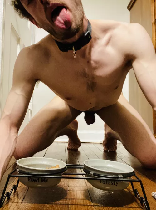 Feed me 😛