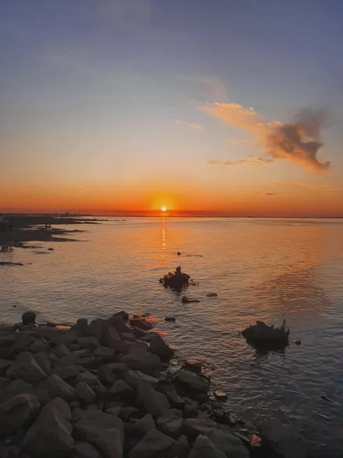 How happy it makes you to see this photo? 💘