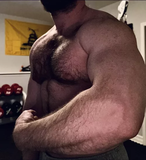 how many push-ups would you guess I could do in a row?