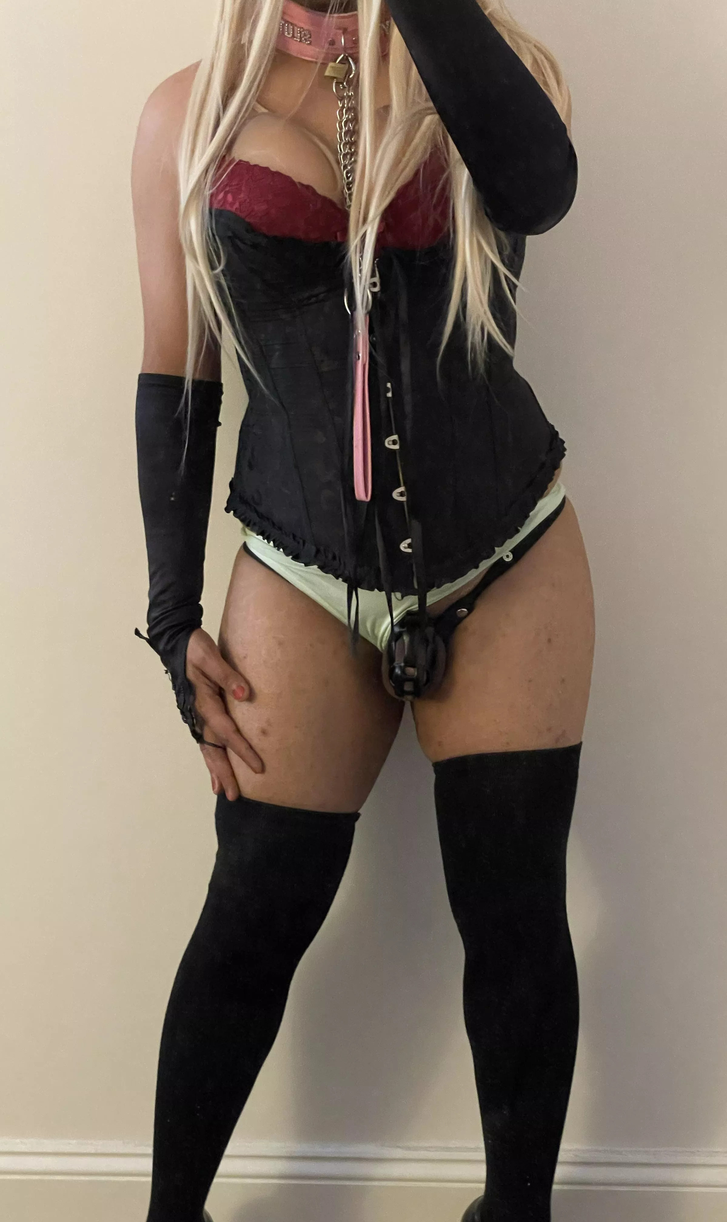 How would you train me to become an even sluttier sissy?