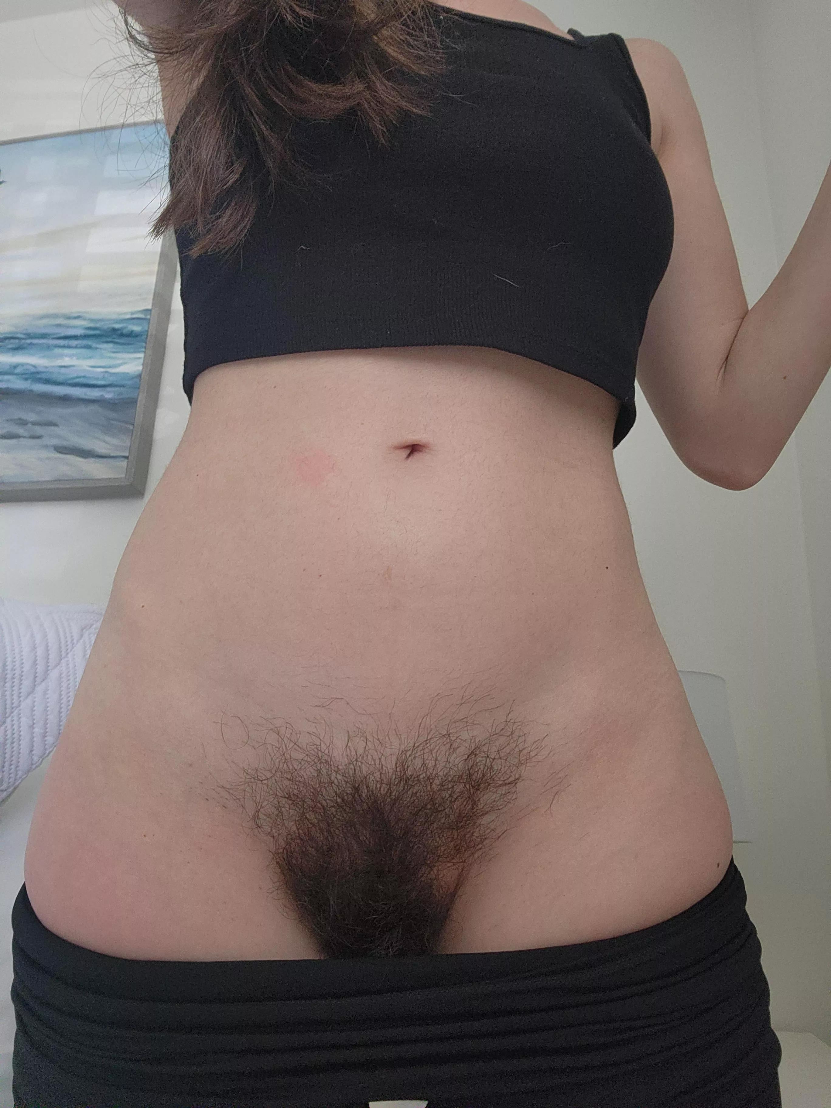 I used to always have a landing strip but I've grown attached to my full bush!