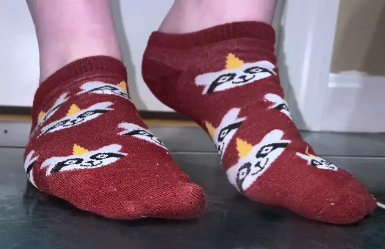 I wear these constantly! 🤍