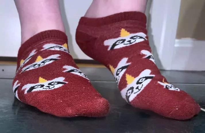 I wear these constantly! 🤍