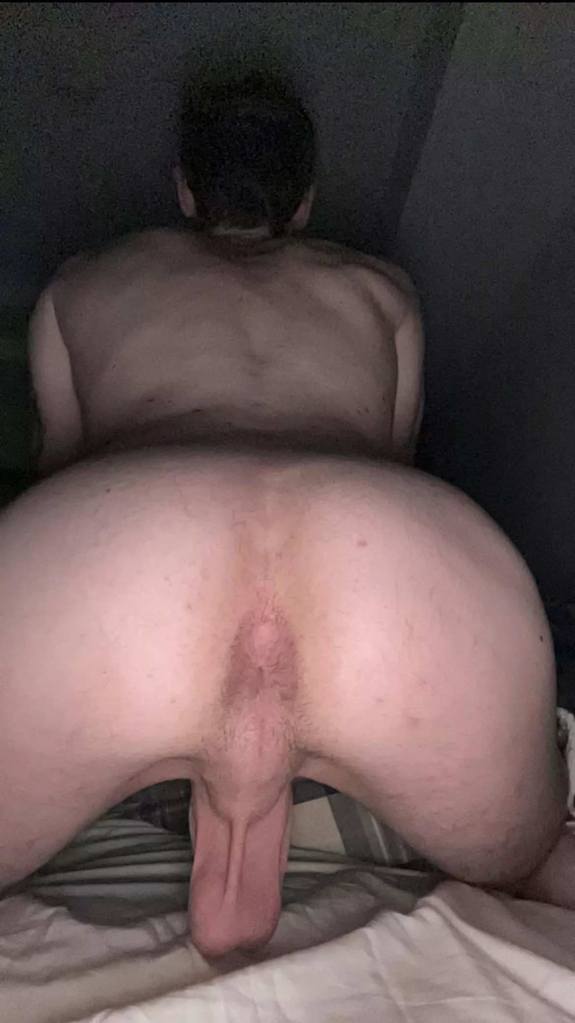 I’m ready for my morning breeding🤤 (20)