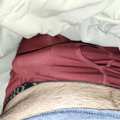 It's a very wood morning here.