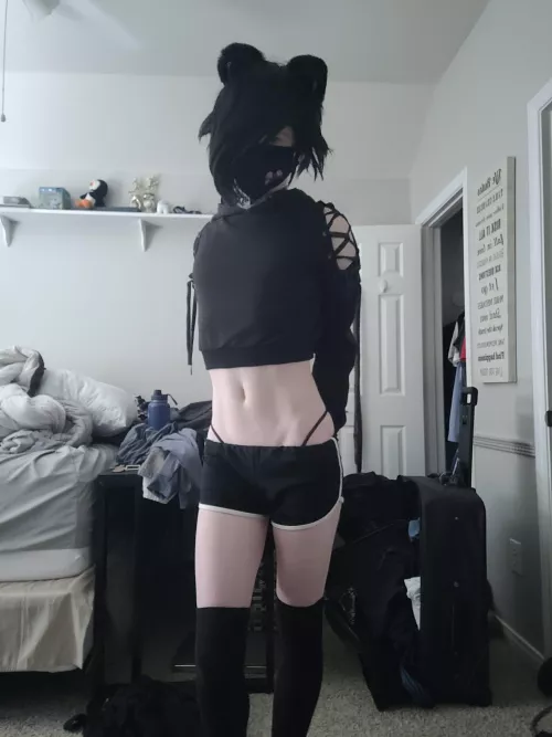 Love being a black and white kitty