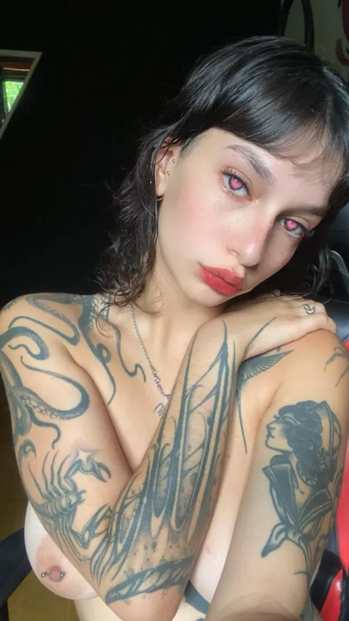 never really had a real cream pie, who will be my test bunny...