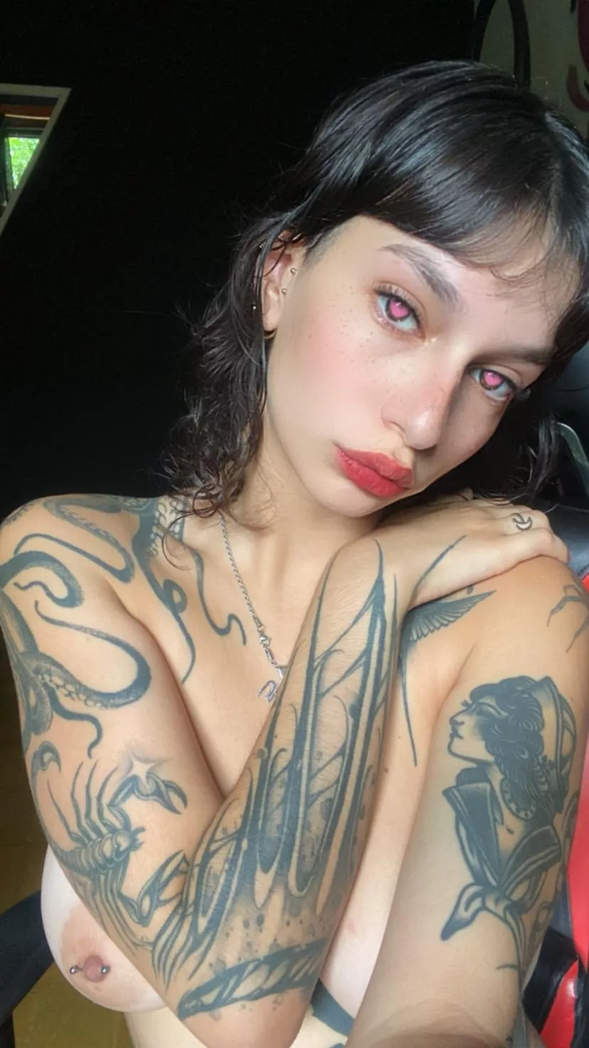 never really had a real cream pie, who will be my test bunny...