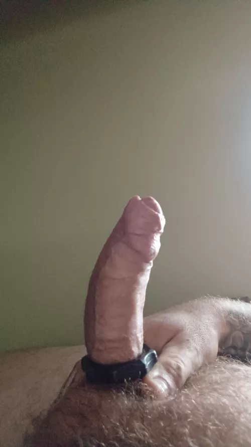 Oiled up hard cock 🤤