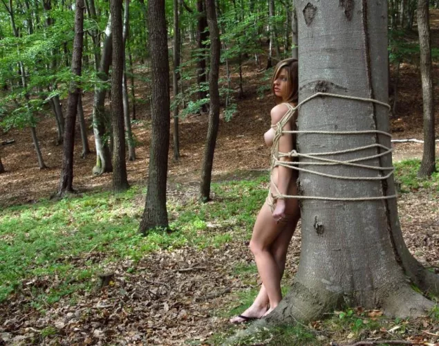 playing in the forest