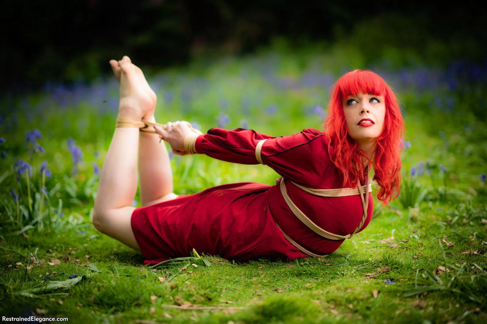 Red flowers and green leaves