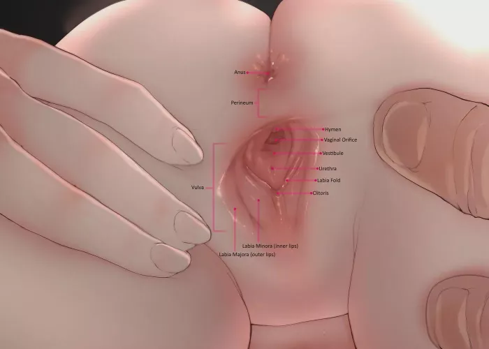 Sex Ed is easier this way