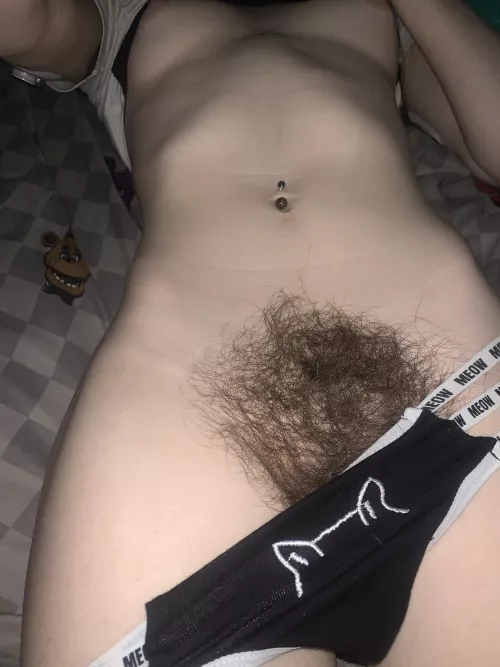 This kitty is long haired 🫣😋