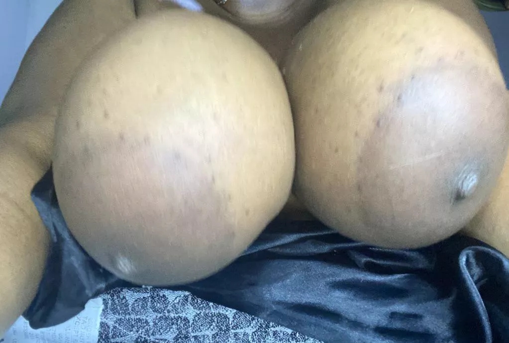 U like my areolas ? 