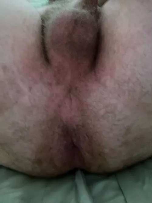 Wish I had a hairy man cock in my hairy man ass. DMs are open and encouraged.