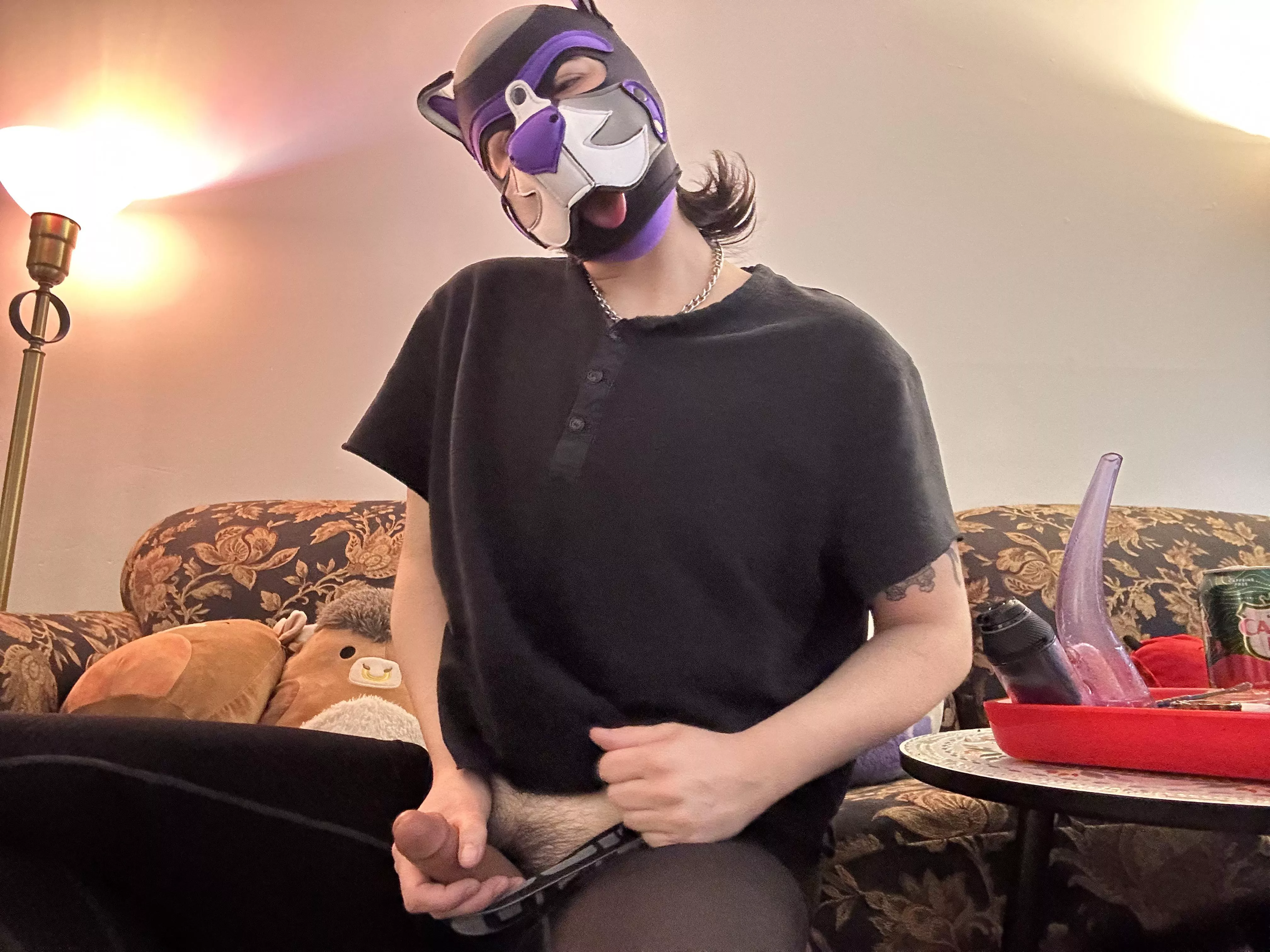 Would you help a puppy out??