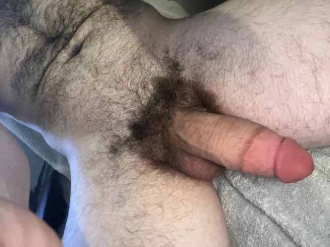 25 muscular and hairy stud with a fat cock looking for femboys and skinny twinks hmu chris_thatguy9