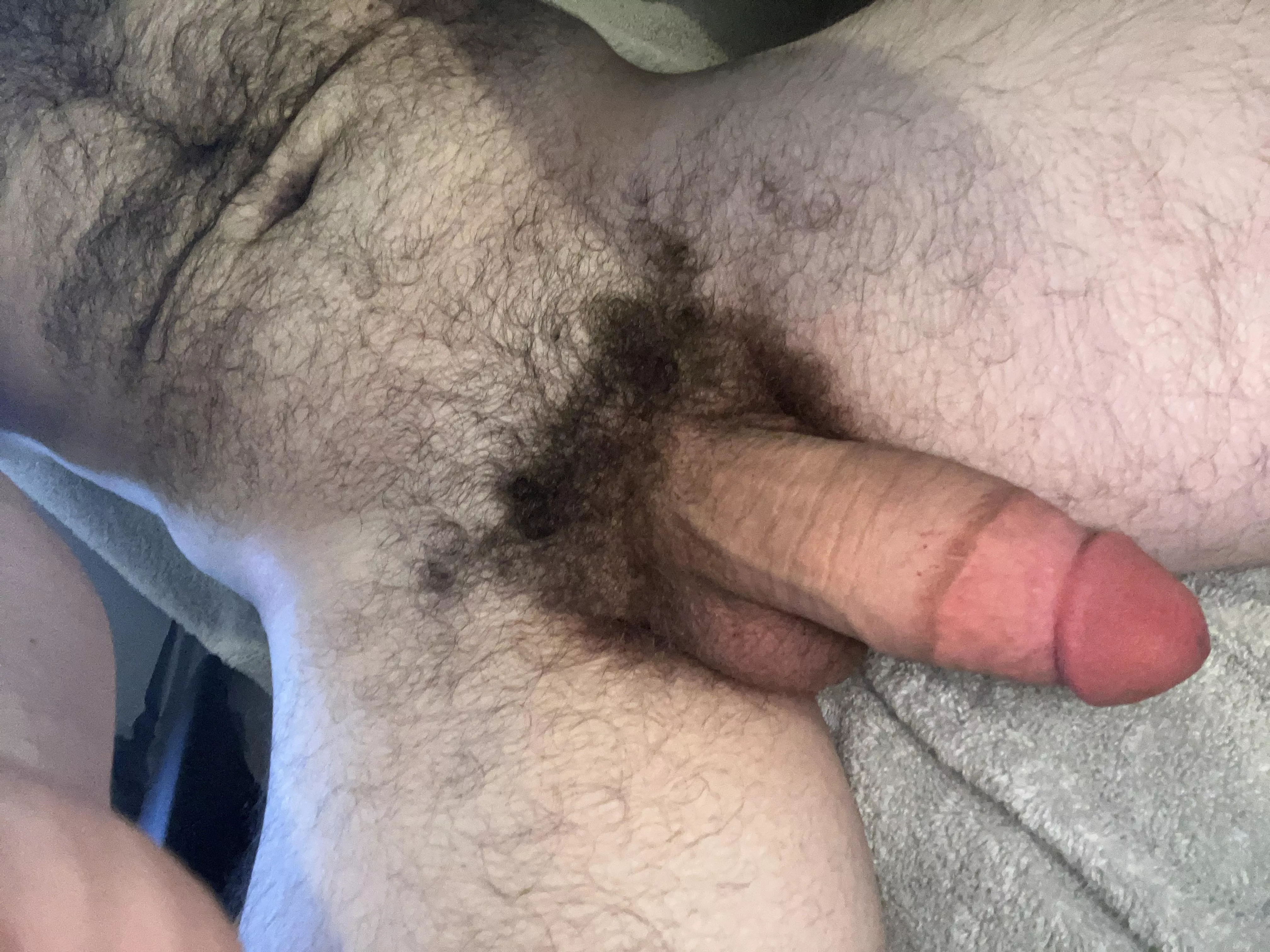 25 muscular and hairy stud with a fat cock looking for femboys and skinny twinks hmu chris_thatguy9