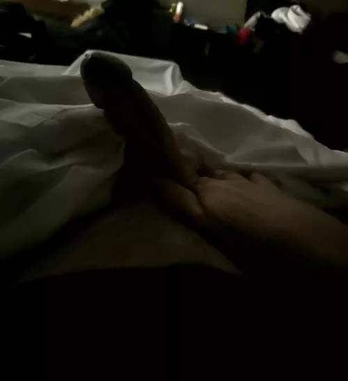 [60] morning wood at first light back lit… first drip