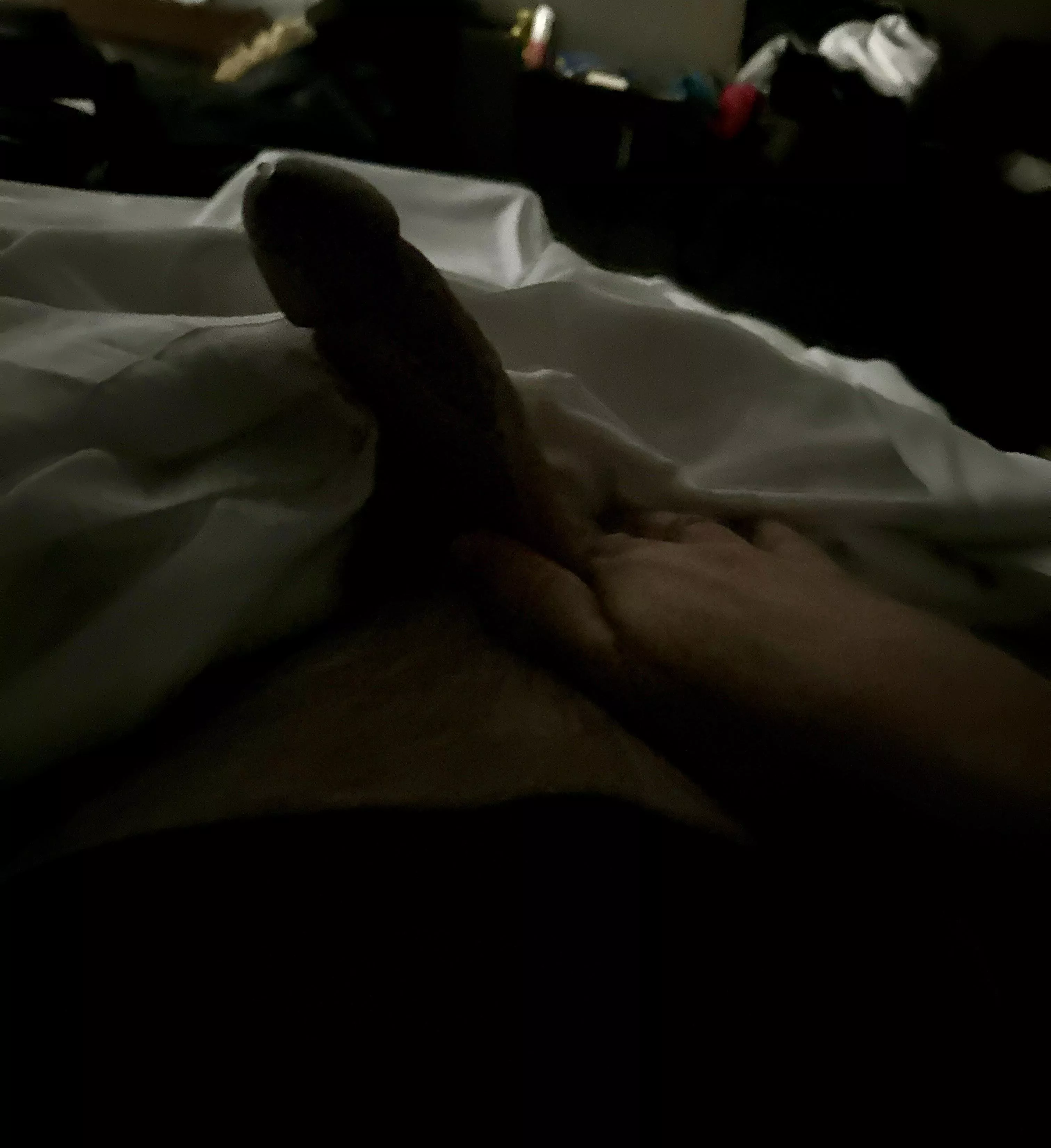 [60] morning wood at first light back lit… first drip