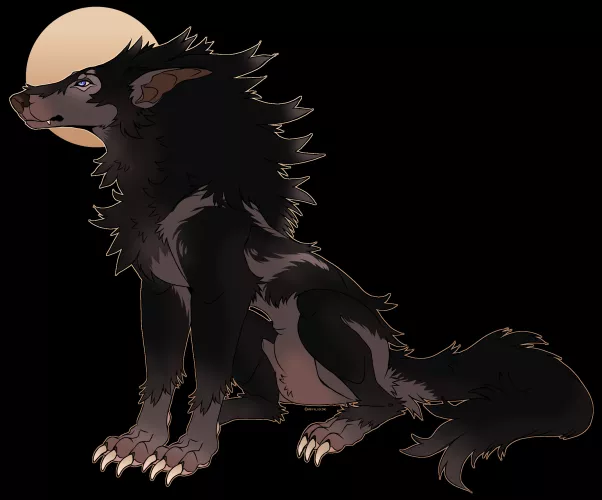 A better drawing for how I envision my sonas werewolf design. 💕
