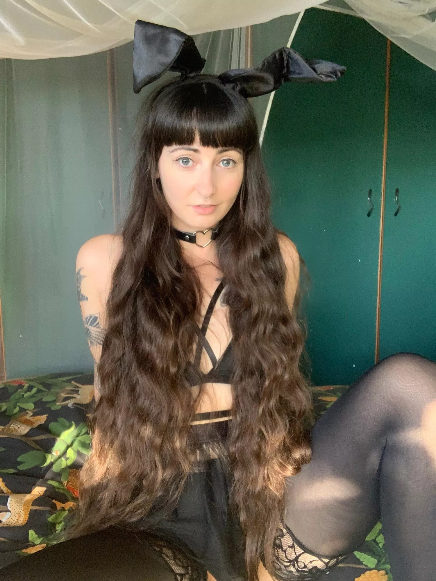 A bunny doesn’t need a leash, right?