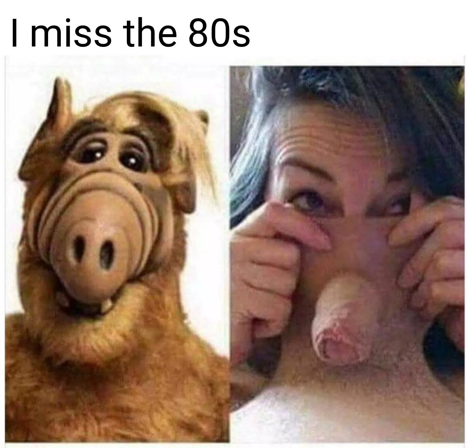 ALF'd