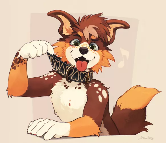 Check Out The New Collar! [awwchang]