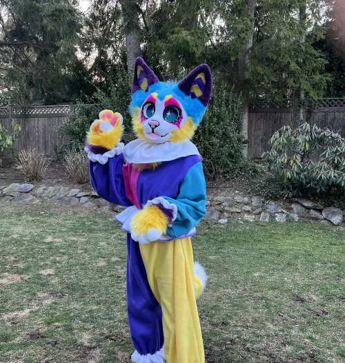 clown kitty!!!