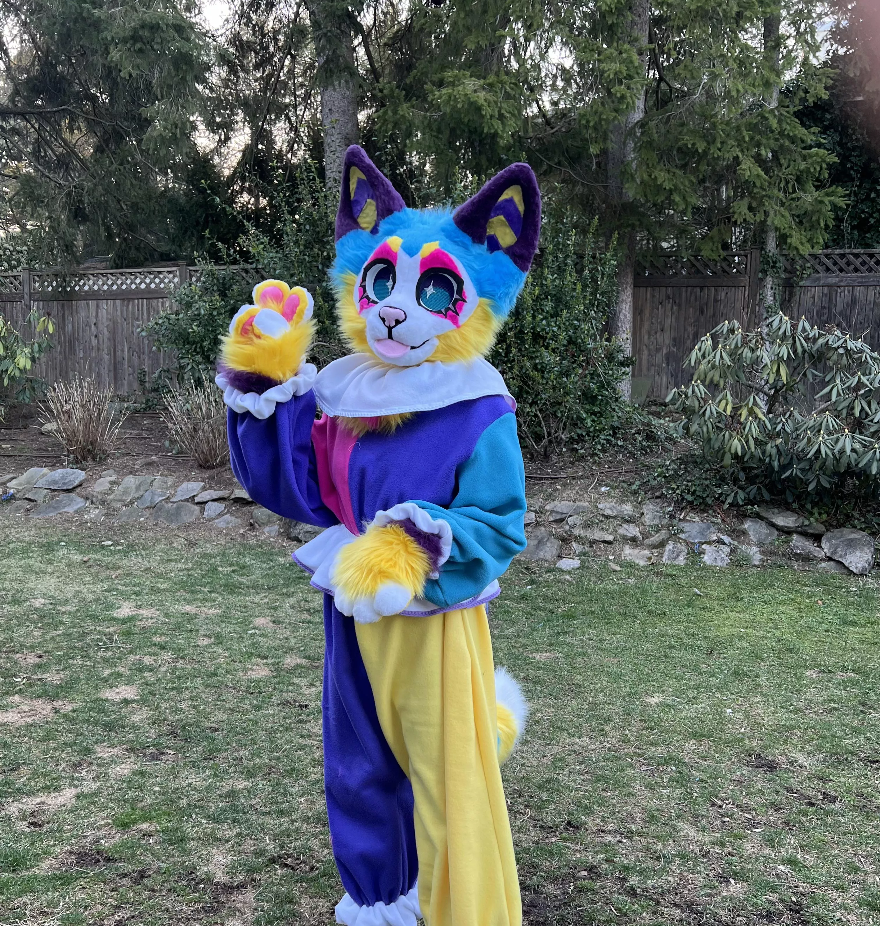 clown kitty!!!