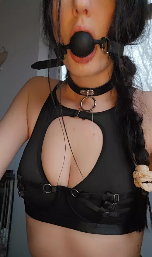 Collared and drooling. 