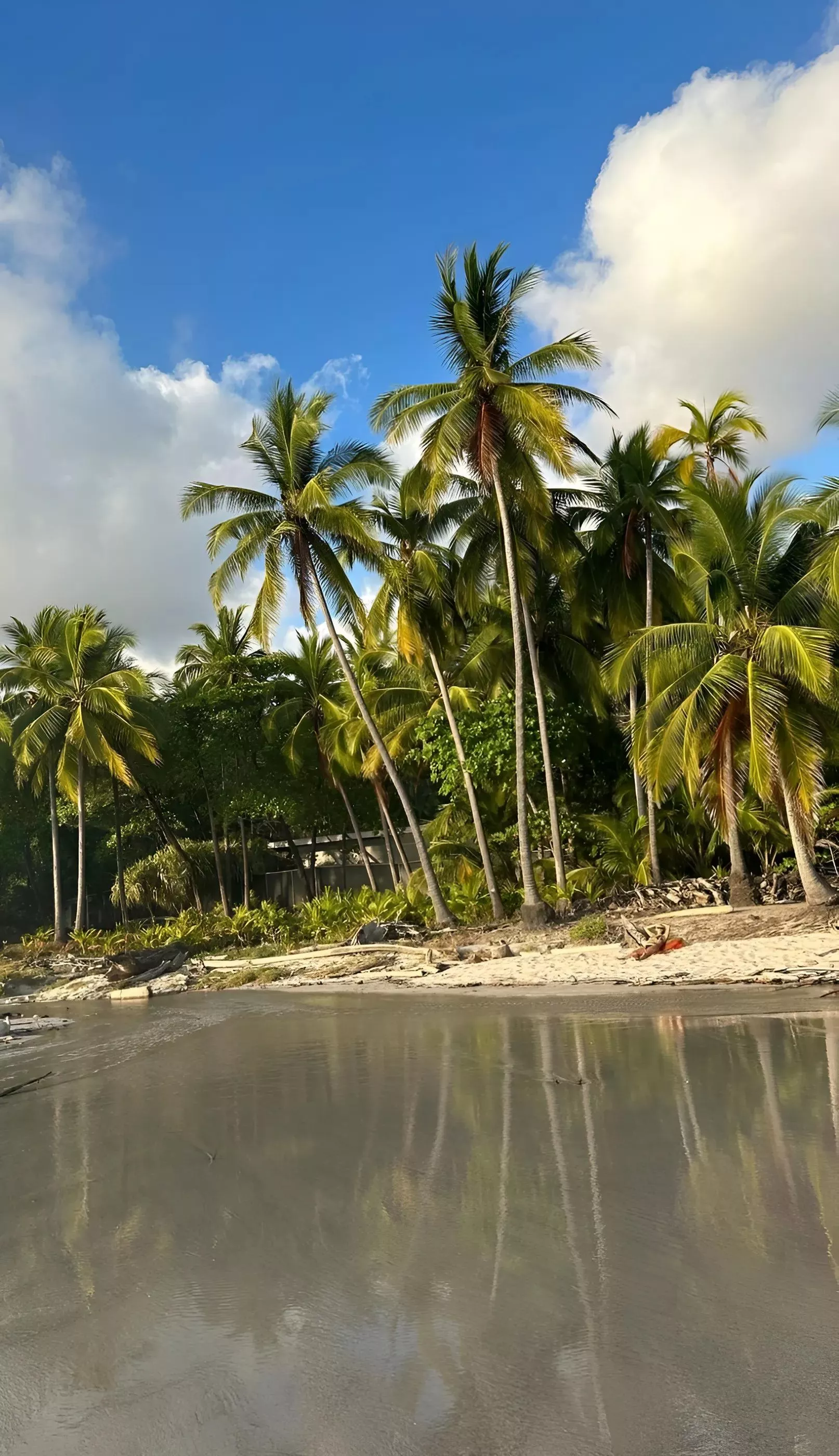 Costa Rica Beach