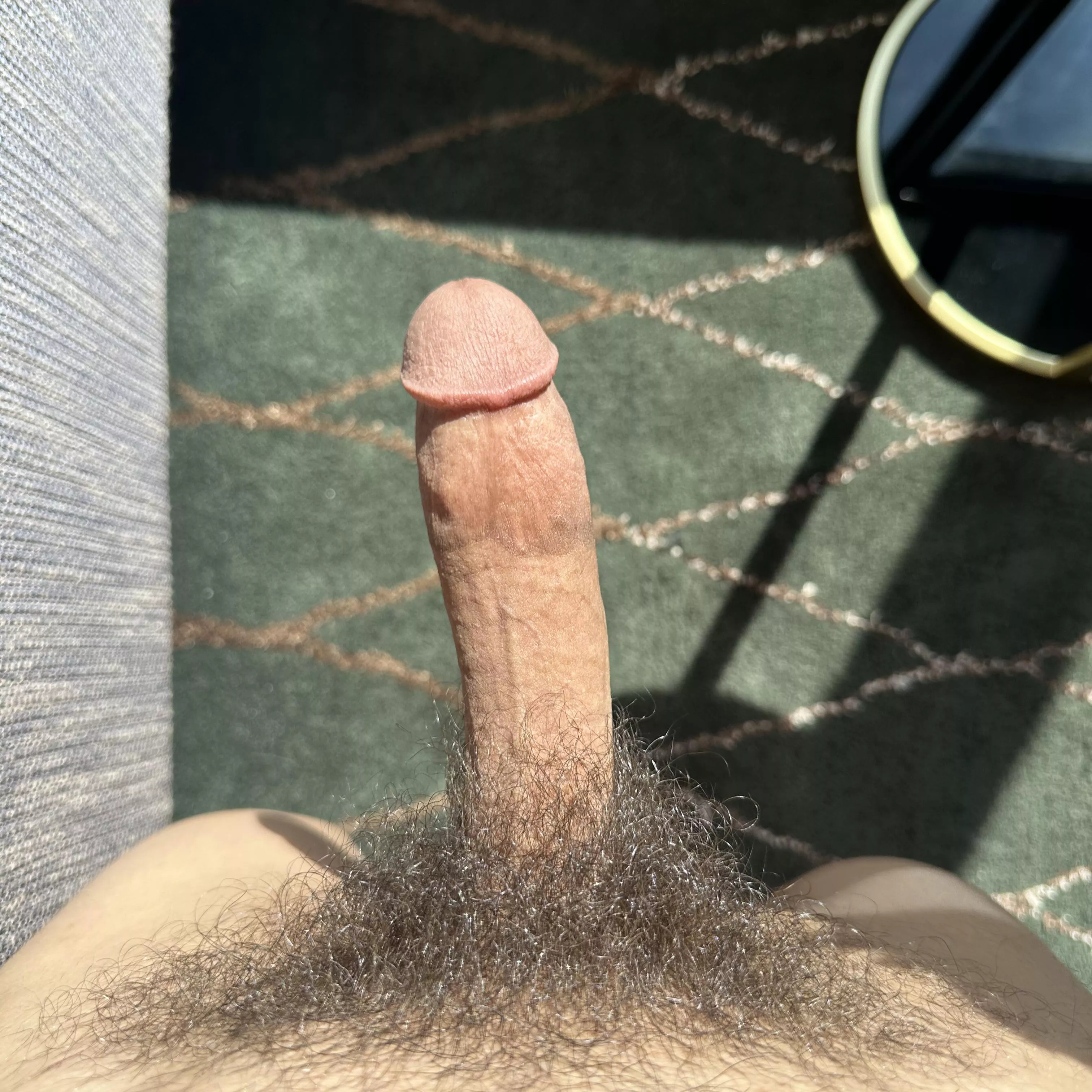 Cut cock in the sun