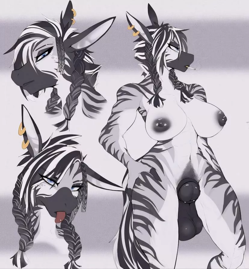Futa dominant zebra