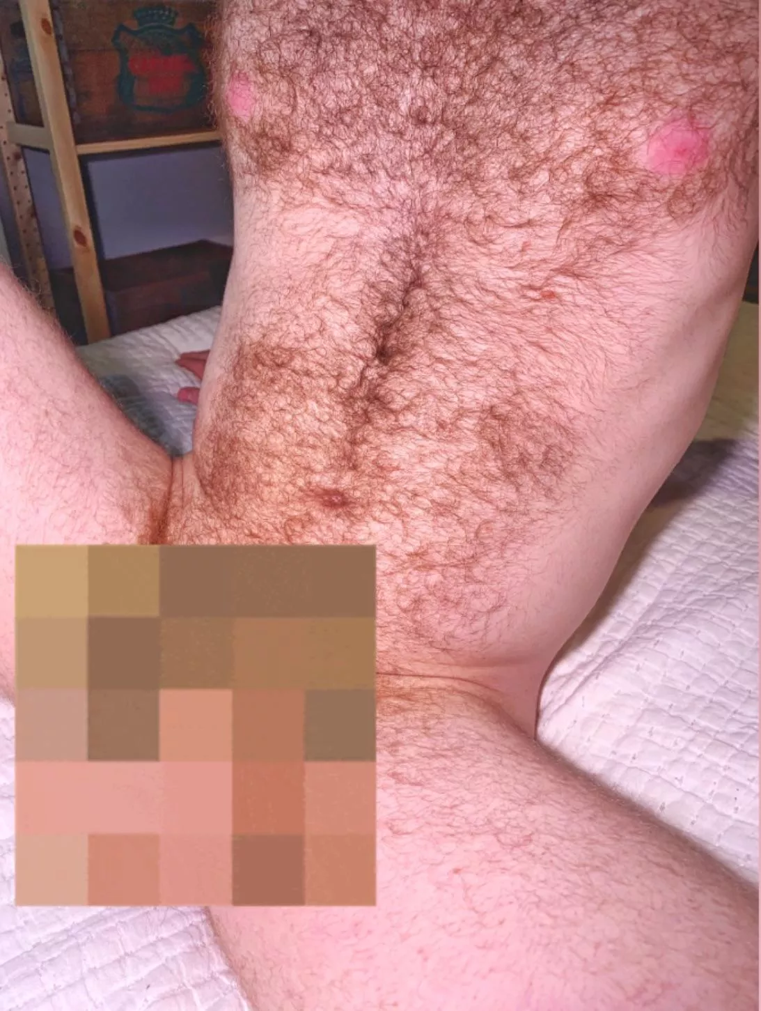 ginger otter life 💯 