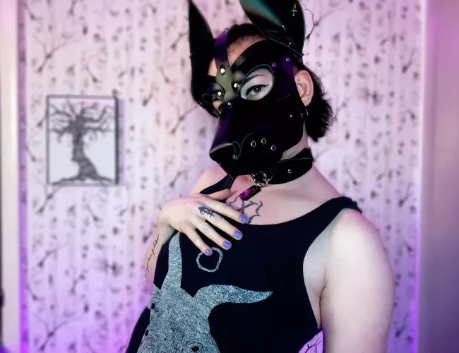 Happy Monday pups 💜