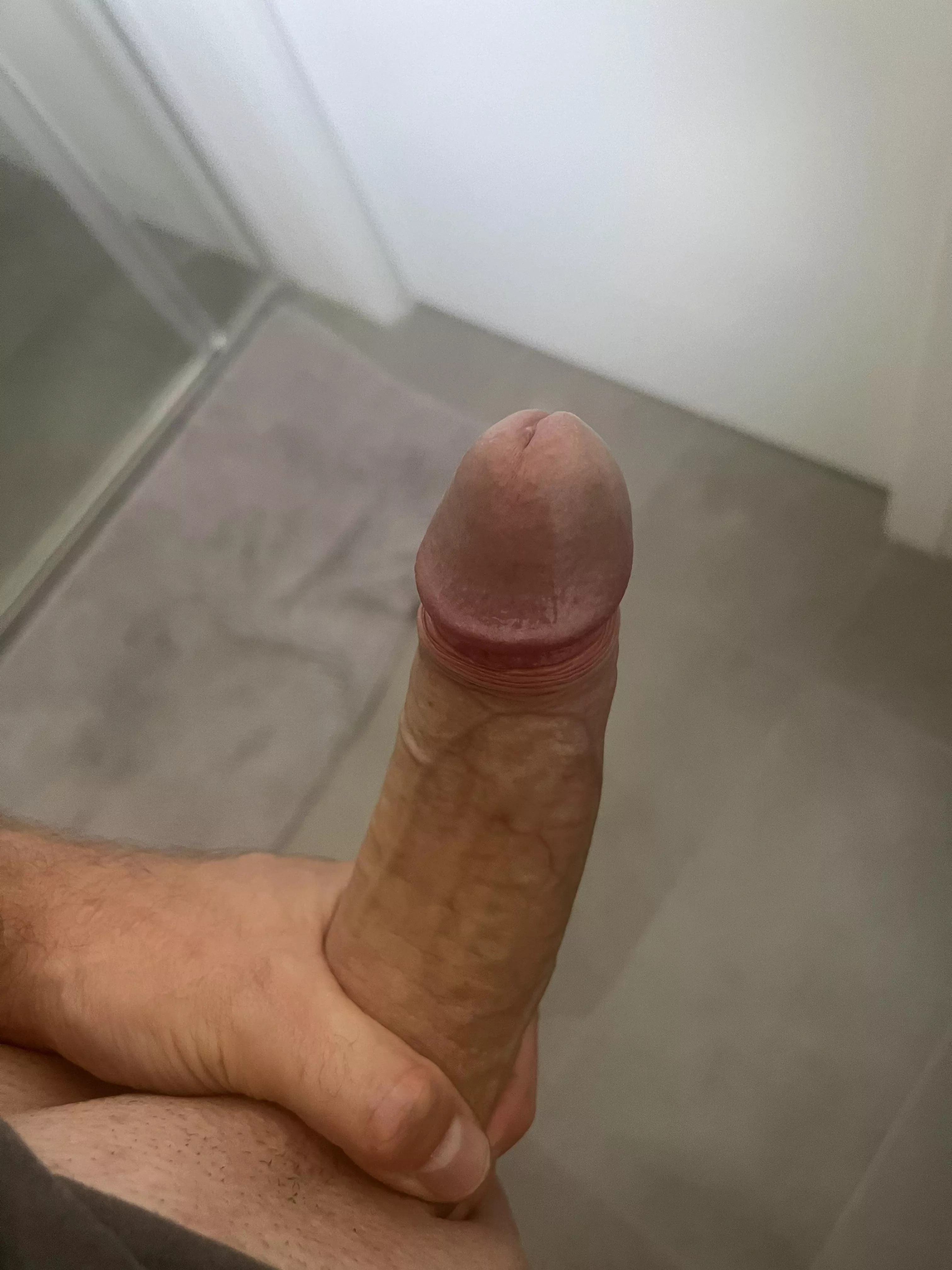 Hard cock ready to be sucked
